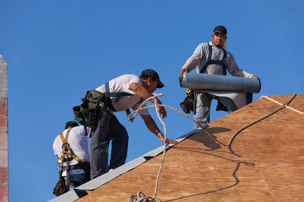 Best Storm Damage Roof Repair  in Linthicum, MD
