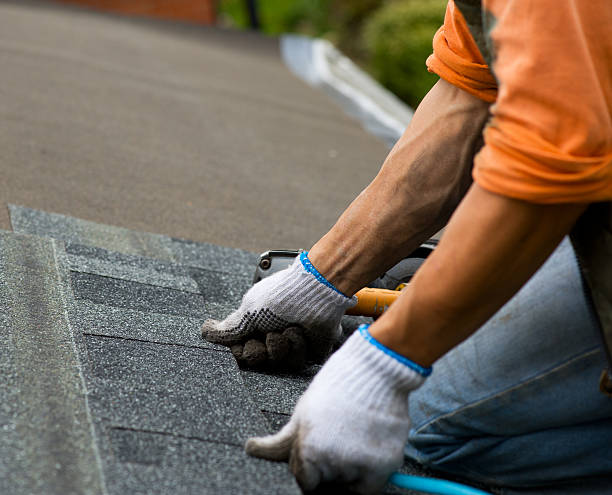 Best Storm Damage Roof Repair  in Linthicum, MD